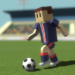 Download ? Champion Soccer Star: League & Cup Soccer Game 0.76 APK