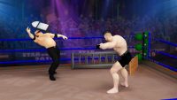 Tag Team Wrestling Games Mega Cage Ring Fighting 6.7 screenshots 7