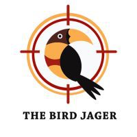 Bird Jager 1.3 APK MOD (UNLOCK/Unlimited Money) Download