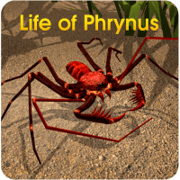 Life of Phrynus – Whip Spider 2.0 APK MOD (UNLOCK/Unlimited Money) Download