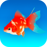 Goldfish 3D – Relaxing Aquarium Fish Tank 1.50 APK MOD (UNLOCK/Unlimited Money) Download
