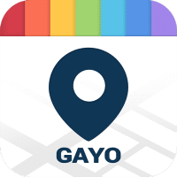 GAYO  1.16.5 APK MOD (Unlimited Money) Download