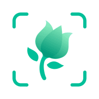PictureThis – Plant Identifier 3.7.2 APK MOD (UNLOCK/Unlimited Money) Download