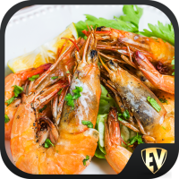 All Seafood Recipes Offline: Fish, Crab, Shrimp 1.3.2 APK MOD (UNLOCK/Unlimited Money) Download