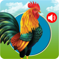 Animals & Birds Ringtones 2.18 APK MOD (UNLOCK/Unlimited Money) Download
