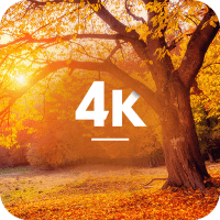 Autumn Wallpapers in 4K 1.2.3 APK MOD (UNLOCK/Unlimited Money) Download