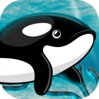 Orca Fish Home Adventure  1.8 APK MOD (UNLOCK/Unlimited Money) Download