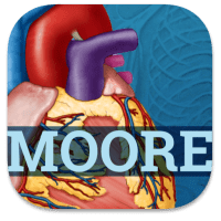 USMLE Clinical Anatomy Flashcards  APK MOD (UNLOCK/Unlimited Money) Download