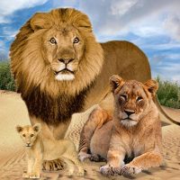 Jungle Kings Kingdom Lion  4.5 APK MOD (UNLOCK/Unlimited Money) Download