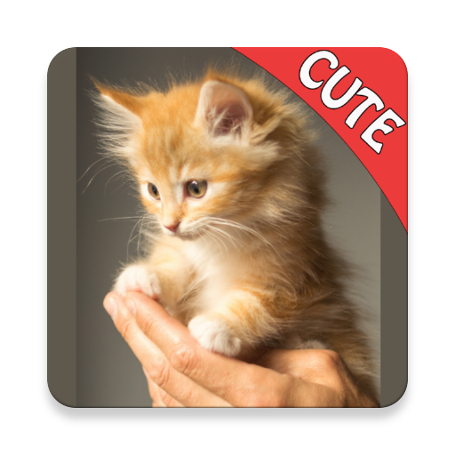 Cute Cats Memory Matching Game  APK MOD (UNLOCK/Unlimited Money) Download