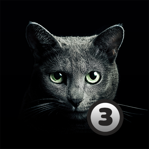 Find A Cat 3  APK MOD (UNLOCK/Unlimited Money) Download