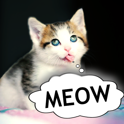 Cat translator. Cat sound joke  APK MOD (UNLOCK/Unlimited Money) Download