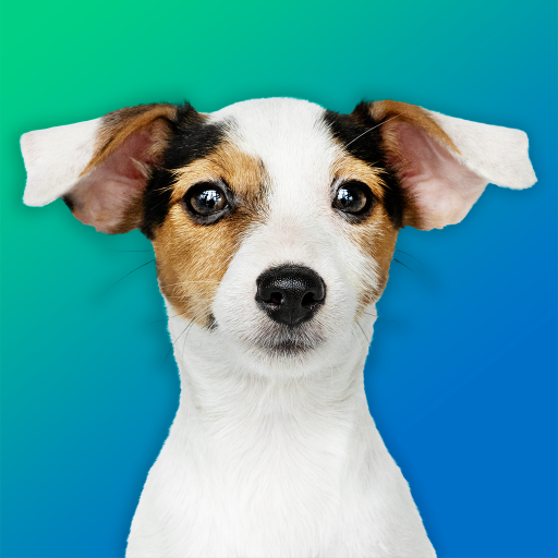 Dog Quiz: Guess the Breed — Game, Pictures, Test  APK MOD (UNLOCK/Unlimited Money) Download