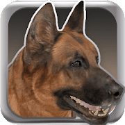 My Dog (Dog Simulator) 2.0.1 APK MOD (UNLOCK/Unlimited Money) Download