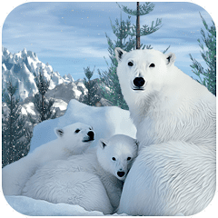 Polar Bear Family Survival  APK MOD (UNLOCK/Unlimited Money) Download