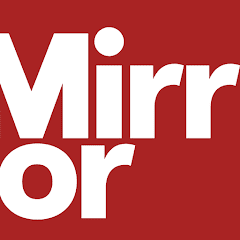 The Mirror  APK MOD (UNLOCK/Unlimited Money) Download