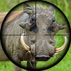 Wild Hunt Pig Sniper Shooting  1.0.29 APK MOD (UNLOCK/Unlimited Money) Download