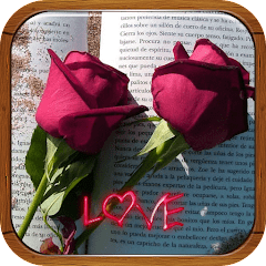 love roses with phrases  APK MOD (UNLOCK/Unlimited Money) Download