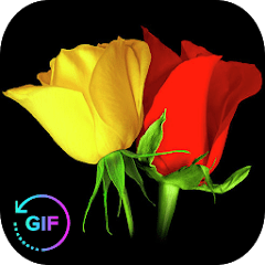 Flower Rose Animated Image Gif 9.9 APK MOD (UNLOCK/Unlimited Money) Download