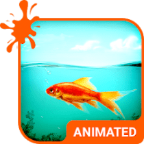 Golden Fish HD Wallpaper Theme  APK MOD (UNLOCK/Unlimited Money) Download