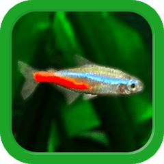 Tropical Fish Tank – Mini Aqua  APK MOD (UNLOCK/Unlimited Money) Download