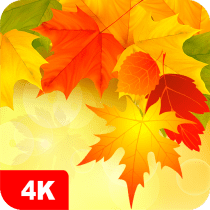 Autumn Wallpapers 4K 5.6.22 APK MOD (UNLOCK/Unlimited Money) Download