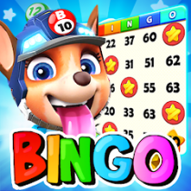 Bingo Play: Bingo Offline Fun  23 APK MOD (UNLOCK/Unlimited Money) Download