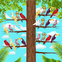 Bird Sort Color Puzzle Game  APK MOD (UNLOCK/Unlimited Money) Download