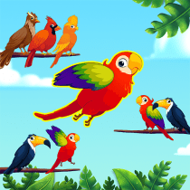 Bird Sort – Rainbow Birds Game VARY APK MOD (UNLOCK/Unlimited Money) Download