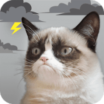 Grumpy Cat Weather 5.6.4 APK MOD (UNLOCK/Unlimited Money) Download