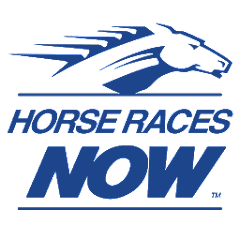 Horse Races Now v3.1.0 APK MOD (UNLOCK/Unlimited Money) Download