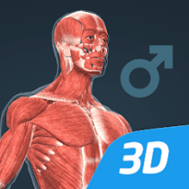 Human body (male) 3D scene 1.30 APK MOD (UNLOCK/Unlimited Money) Download