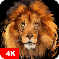 Lion Wallpapers 4K 5.6.22 APK MOD (UNLOCK/Unlimited Money) Download