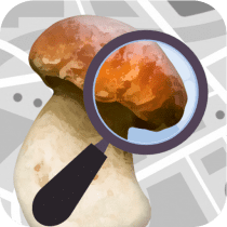 Mushroom Identify – Automatic  2.82 APK MOD (UNLOCK/Unlimited Money) Download