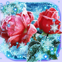 Roses Snow Winter  APK MOD (UNLOCK/Unlimited Money) Download