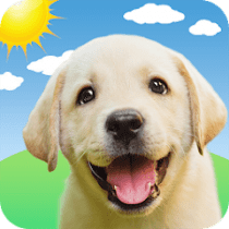 Weather Puppy – App & Widget Weather Forecast 5.6.4 APK MOD (UNLOCK/Unlimited Money) Download
