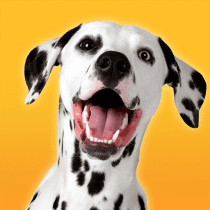 Dalmatian Dog Simulator 1.1.2 APK MOD (UNLOCK/Unlimited Money) Download
