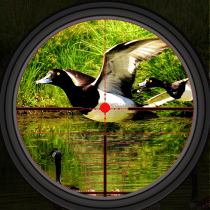 Duck Hunting Wild Shooting Sim 2.0 APK MOD (UNLOCK/Unlimited Money) Download