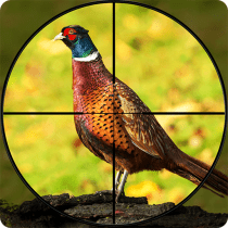Pheasant Shooter Birds Hunting 1.1 APK MOD (UNLOCK/Unlimited Money) Download