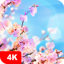Spring Wallpapers 4K 5.6.22 APK MOD (UNLOCK/Unlimited Money) Download
