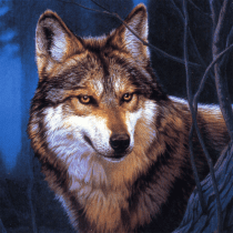 Wolf Jigsaw Puzzles 2.12.2 APK MOD (UNLOCK/Unlimited Money) Download