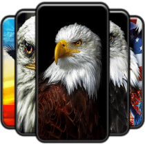 Eagle Wallpaper 3 APK MOD (UNLOCK/Unlimited Money) Download