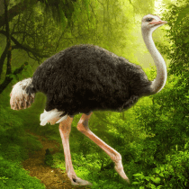 The Ostrich 1.0.9 APK MOD (UNLOCK/Unlimited Money) Download