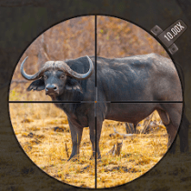 Sniper Animal Deer Hunter Game  APK MOD (UNLOCK/Unlimited Money) Download